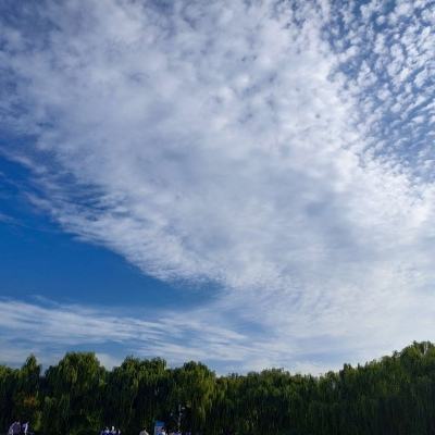【ChatGPT】使用技巧1